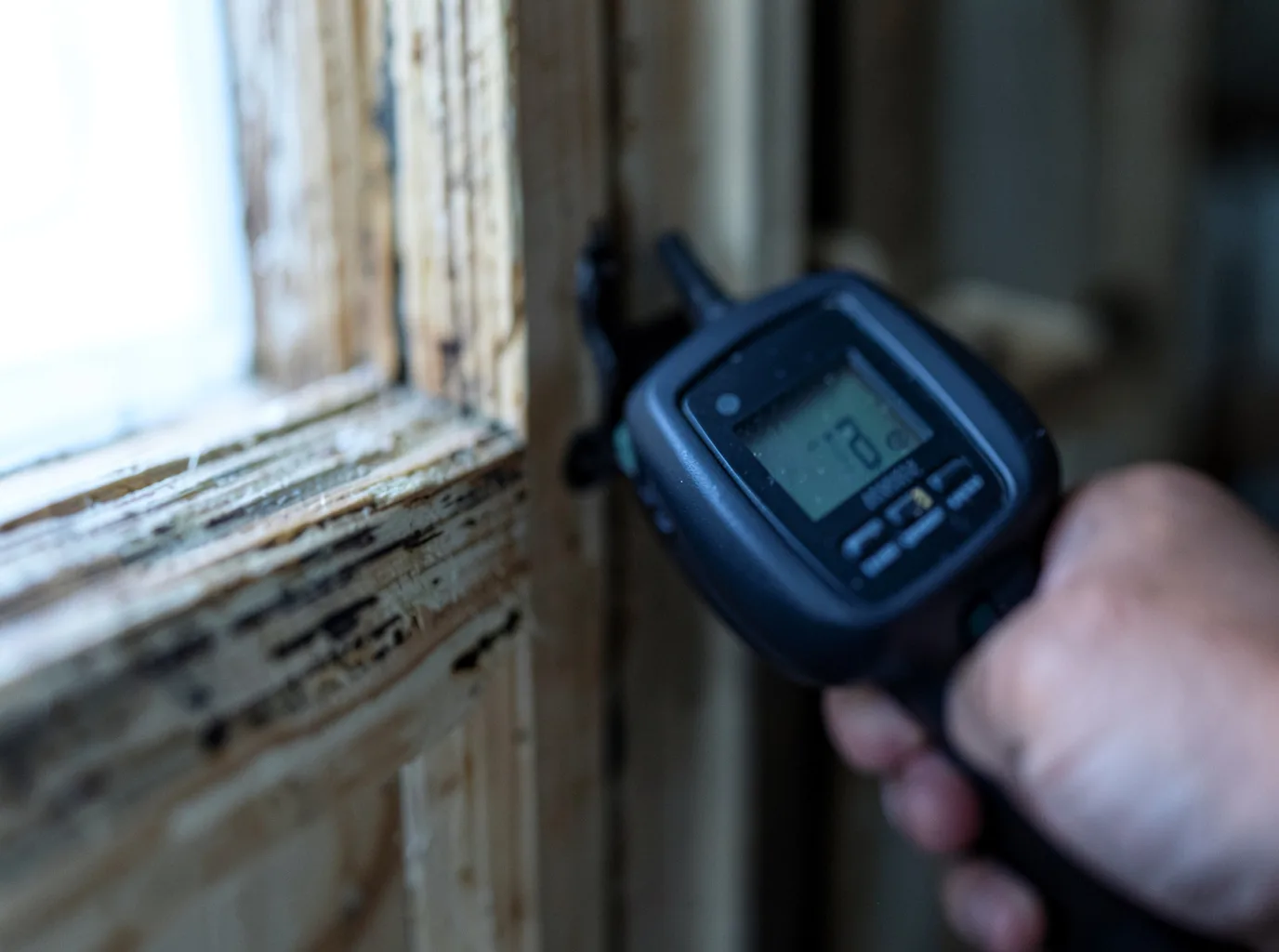 Moisture Inspection And Documentation in Rock River, WY